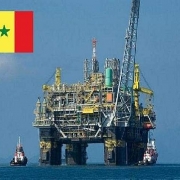 Senegal: Doanh thu từ dầu khí trong tương lai sẽ không đủ để chuyển đổi nền kinh tế